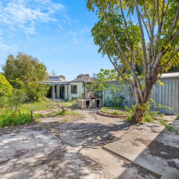 Backyard before — dirt, weeds and old sheds